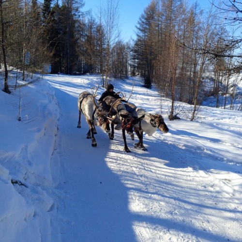 Сказка зимнего Байкала в Листвянке, Ольхоне и Баргузинском заливе: два берега священного моря