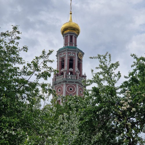 Светская экскурсия в прошлое и настоящее Новодевичьего монастыря
