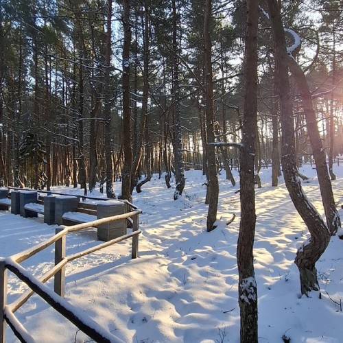Куршская коса и Зеленоградск: песчаная катастрофа, планеризм и крайбитеры