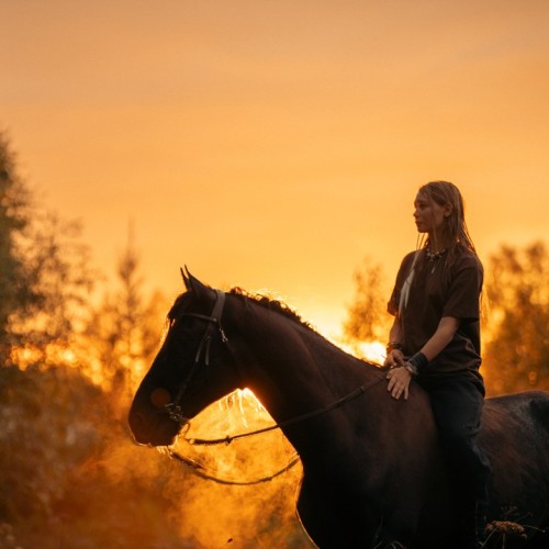 Бороздим просторы Алтая верхом: активный тур для опытных всадников с фотосъёмкой