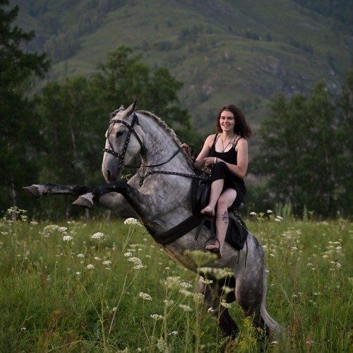 Бороздим просторы Алтая верхом: активный тур для опытных всадников с фотосъёмкой