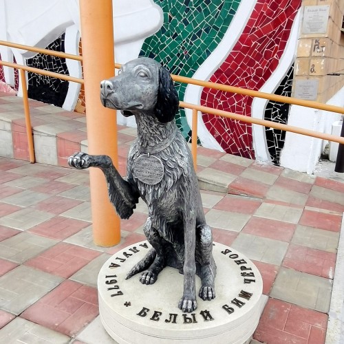 Dog-friendly Калуга: cобачьи истории