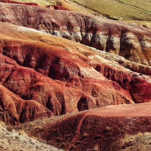 Алтайский отпуск: Телецкое озеро, живописные долины и другие знаковые места