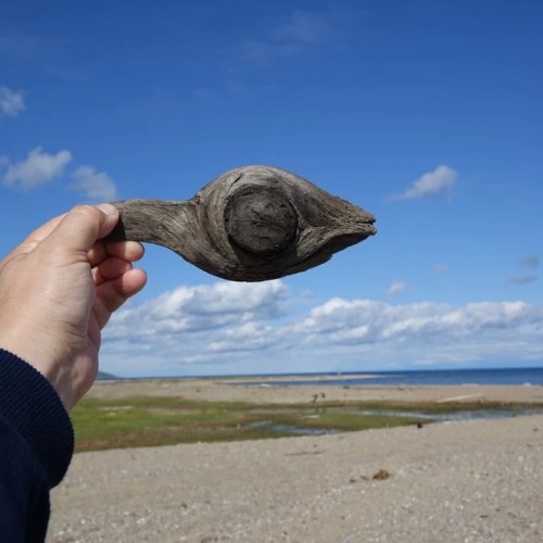 На выходные к Байкалу: Малое Море, Тажеранские степи и река Бугульдейка