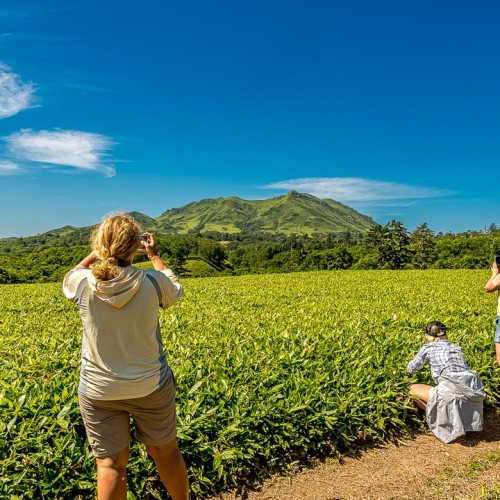 Почувствуй край земли: магия дальних островов Кунашир и Шикотан в мини-группе