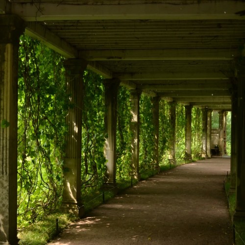 Гений места Царского Села