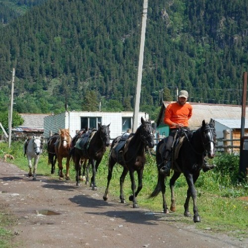 Треккинг-тур в Архыз с комфортом: прогулки в горах налегке с проживанием в гостевом доме