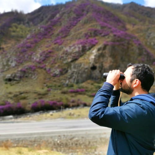 Чуйский тракт за 1 день: экскурсия-конструктор