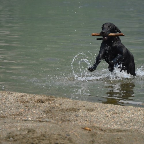 Большое алтайское приключение