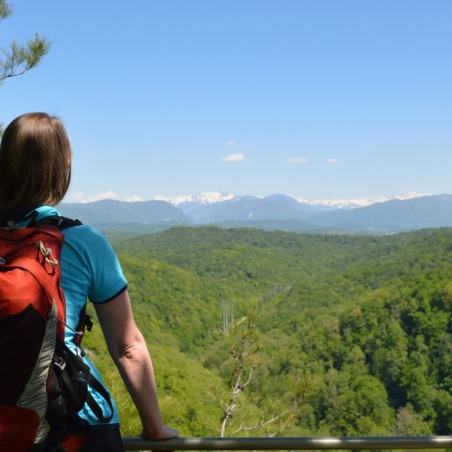 Лёгкий треккинг в субтропиках с проживанием в гостинице в Адлере