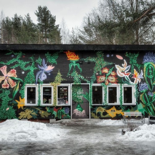 Комарово: аудиопрогулка по Лесной стороне