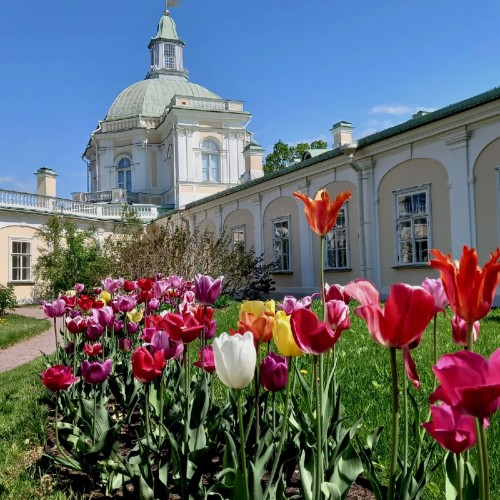 Ораниенбаум: грандиозно и роскошно