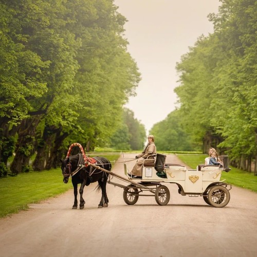 Конная прогулка по Павловскому парку с экскурсией!