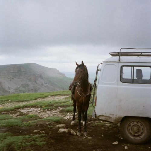 Выходные среди гор: к плато Бермамыт и Гришкиной балке на лошадях