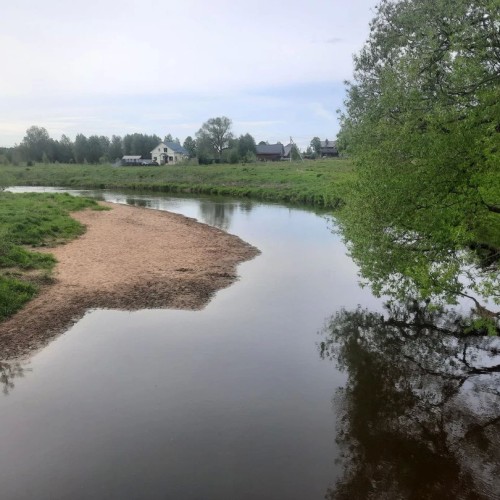 Первый раз с веслом в руках: лёгкий сплав по реке Воре (всё включено)