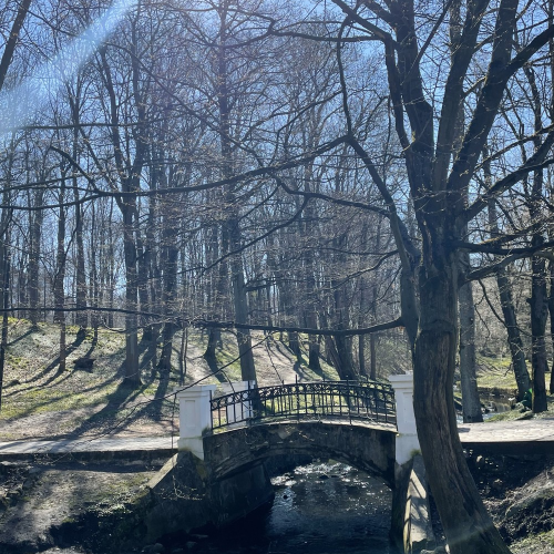 Победа... Какая она в городе «К» — Калининграде