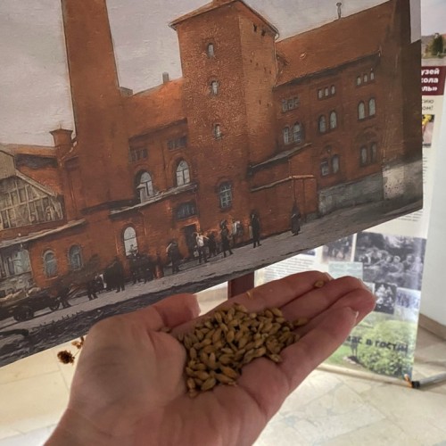 Дегустации пенного, ночь в отеле-замке и погружение в историю Кёнигсберга в мини-группе