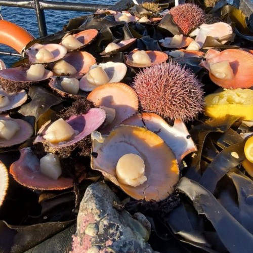 Арктический экспресс на внедорожнике: Мурманск, Кола и Териберка только для вашей компании