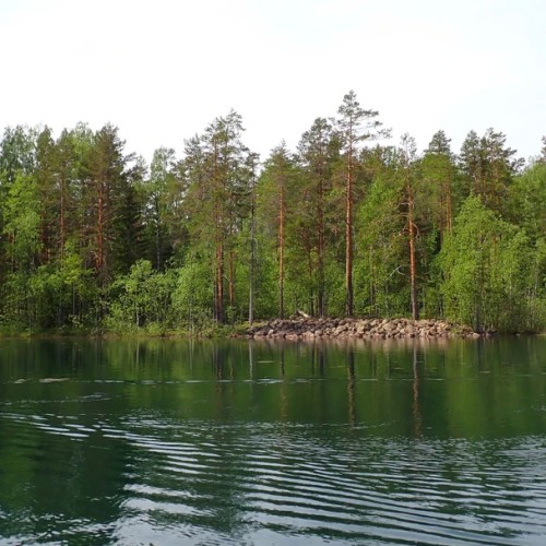 Выходные в Карелии на природе: сапы, баня и Ладога