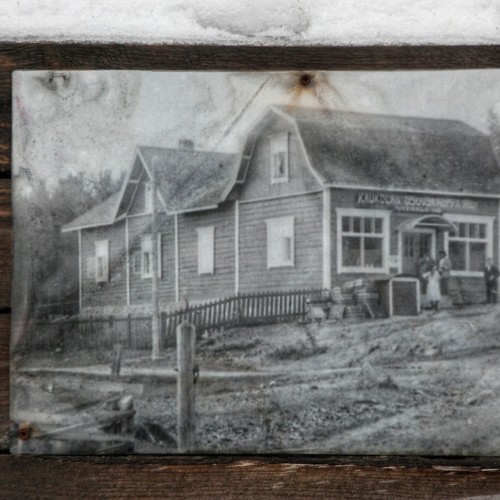 Из Петербурга на север: к финскому хутору и Арктической деревне