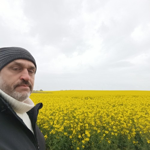 Мозаика прибрежных городов — путешествие из Калининграда