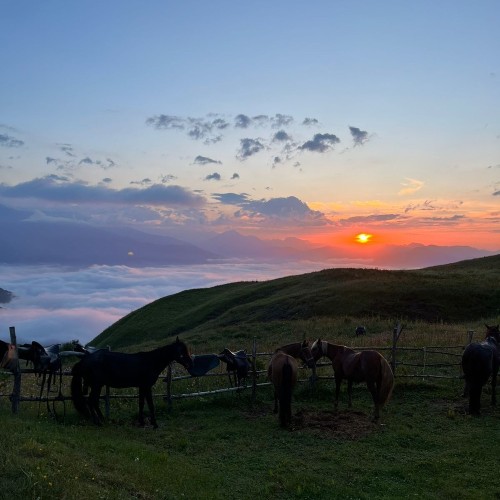 3 дня в Чечне: индивидуальное путешествие с экскурсиями на выбор