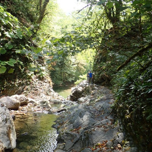 Большой тур по Сочи: природа, архитектура, история