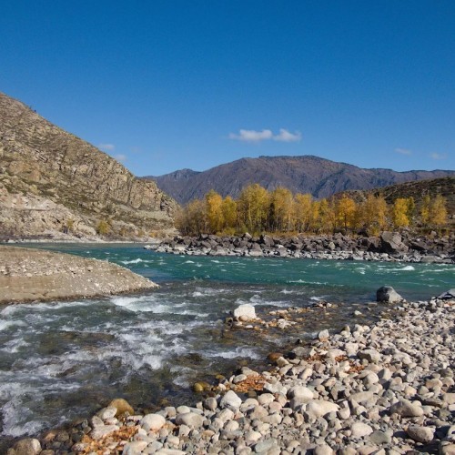 Из Алтая, по Чуйскому тракту — в Монголию на фестиваль беркутчи с проживанием в юрте