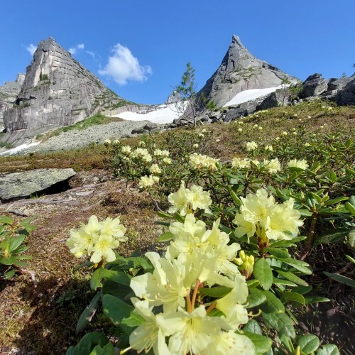 Сокровища природного парка «Ергаки»: треккинг с рюкзаками и ночёвками в палатках