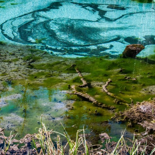 Топовые и необычные места Алтая в мини-группе: Чуйский тракт, озеро Джангыскёль и лёгкий треккинг