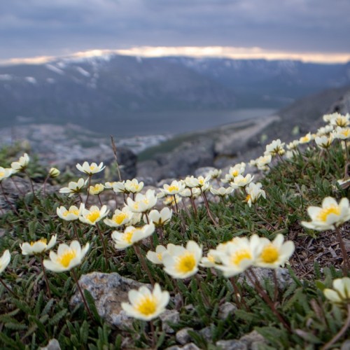 Вкус Арктики: Мурманск, Териберка и этнодеревня в мини-группе