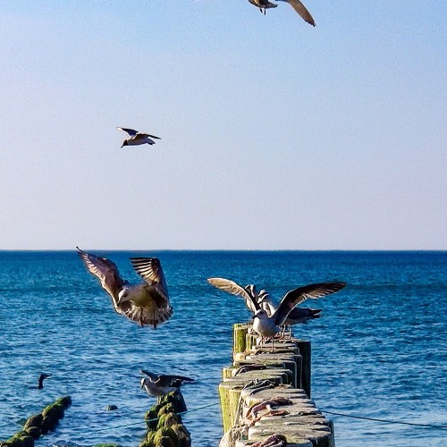 Первый раз в Калининград: истории знаковых мест и редко посещаемых локаций