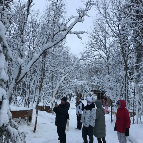 Насыщенные выходные на Кольском: Териберка, Мурманск, культура саамов, морская прогулка и сияние