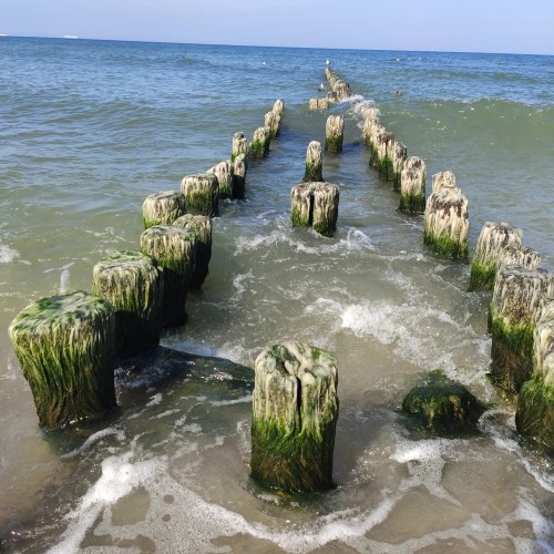 В царство дюн, моря и птиц на Куршской косе — из Калининграда