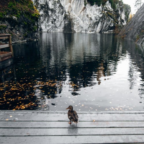 Вода, скалы и чистейший воздух: горный парк «Рускеала» и «Ладожские шхеры»