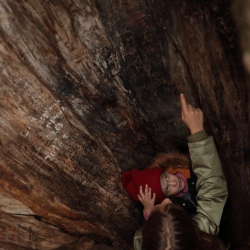 По тропам Торжокского района: пеший поход с рюкзаками