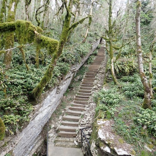 Дни и ночи в дивном Сочи: город и окрестности