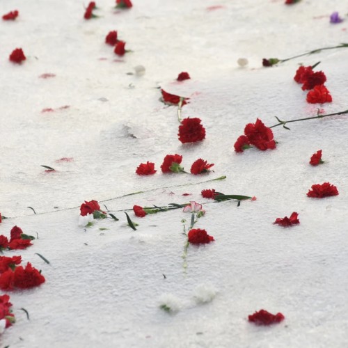 «Пережить блокаду»: интерактивная экскурсия в Петербурге