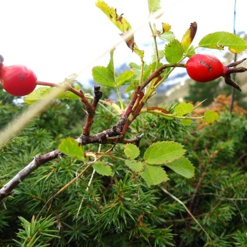 Маршрут №30: поход через горы к морю