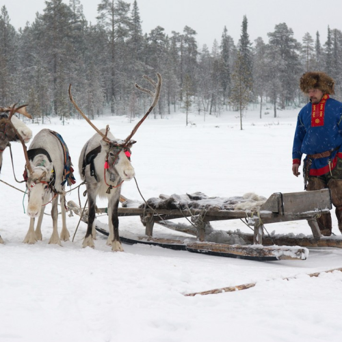 Сокровища Северного Ледовитого океана: полуостров Рыбачий, Териберка, Мурманск и саамская деревня
