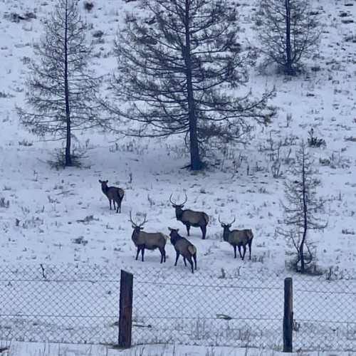 По Чуйскому тракту — к Гейзерному озеру