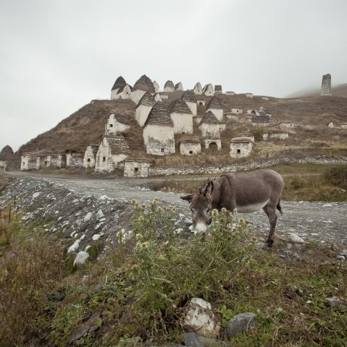 По горным тропам и улицам Владикавказа с комфортом: 3 дня в Северной Осетии