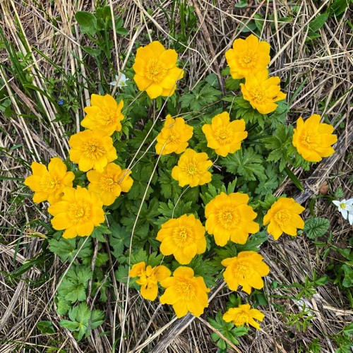 Весенний Архыз: треккинг налегке с проживанием в гостинице