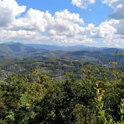Приключения на лошадях в Сочи для новичков и опытных: по ущельям, долинам и лесам