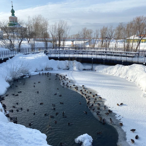 А в чём же соль? Из Перми — в Соликамск