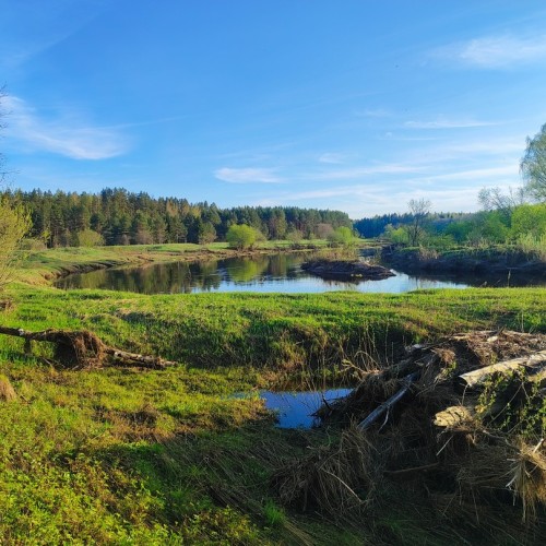 Сплав на байдарках по реке Осуге (всё включено)