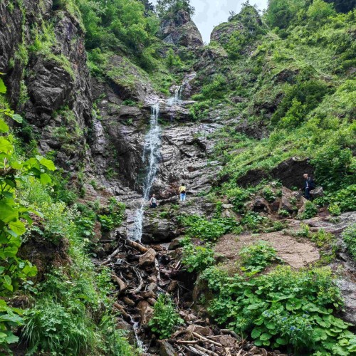 Если с другом вышел в путь: треккинги в Архызе в компании маламута (в мини-группе)
