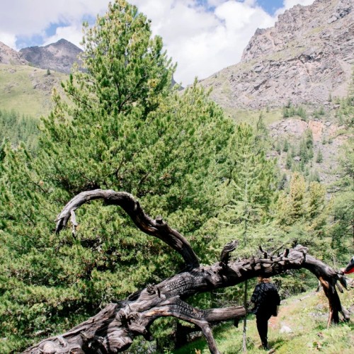 Алтай — активный: конная прогулка, лёгкий сплав и треккинг к горным озёрам + топовые локации