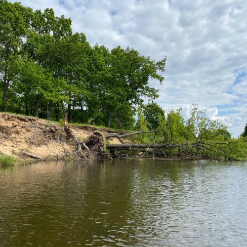 Подальше в лес: сплав на байдарках по реке Медведице