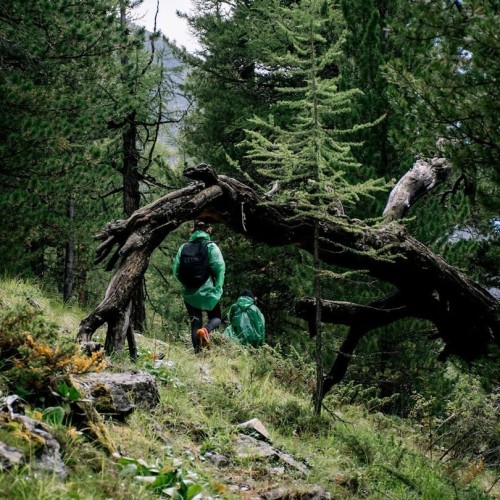 Активный Алтай: треккинг, конные прогулки и Чуйский тракт